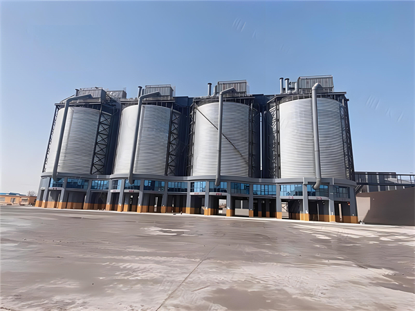 中山大型鋼板倉建造施工造價分析與優(yōu)化策略